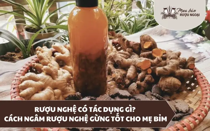 Rượu Ngâm Nghệ Có Tác Dụng Gì Rượu Ngâm Nghệ Có Tác Dụng Gì