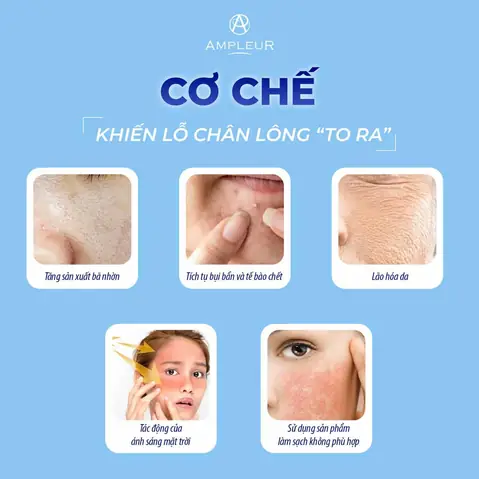 Sản Phẩm Thu Nhỏ Lỗ Chân Lông Hiệu Quả