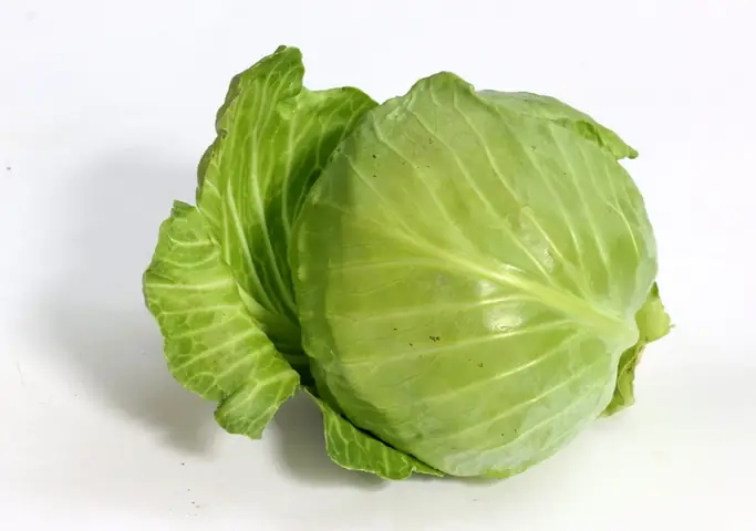Sau Sinh Có Được Ăn Rau Bắp Cải Không