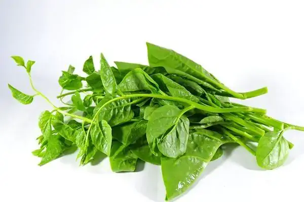 Sau Sinh Nên Ăn Rau Gì Tốt Sau Sinh Nên Ăn Rau Gì Tốt