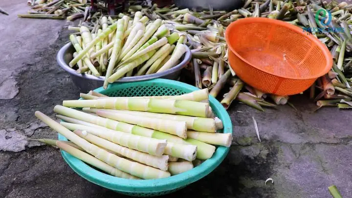 Sinh Mổ Có Ăn Măng Được Không