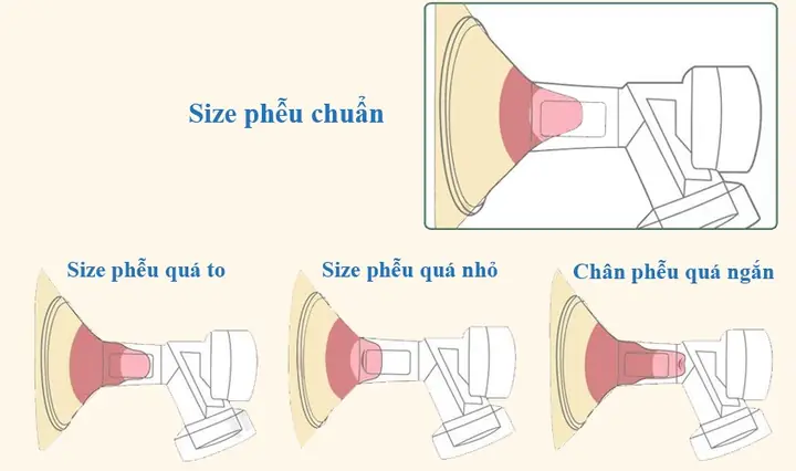 Size Phễu Máy Hút Sữa Real Bubee