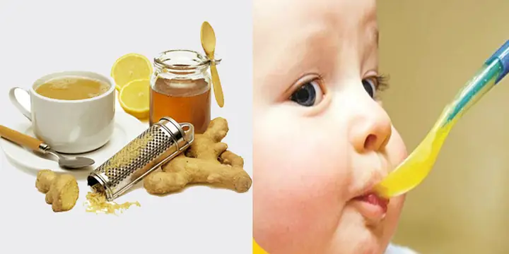 Sử Dụng Mật Ong Cho Trẻ Sơ Sinh Sử Dụng Mật Ong Cho Trẻ Sơ Sinh