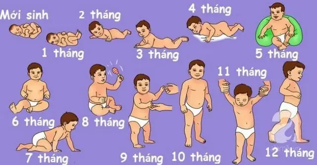 Sự Phát Triển Của Trẻ 3 4 Tháng Tuổi