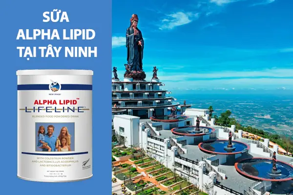 Sữa Alpha Lipid Mua Ở Đâu