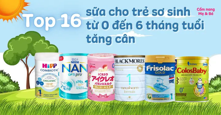 Sữa Cho Bé 0 6 Tháng Tuổi
