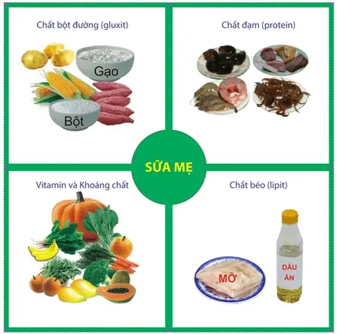 Sữa Cho Bé 19 Tháng Tuổi