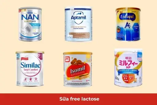 Sữa Cho Người Không Dung Nạp Lactose