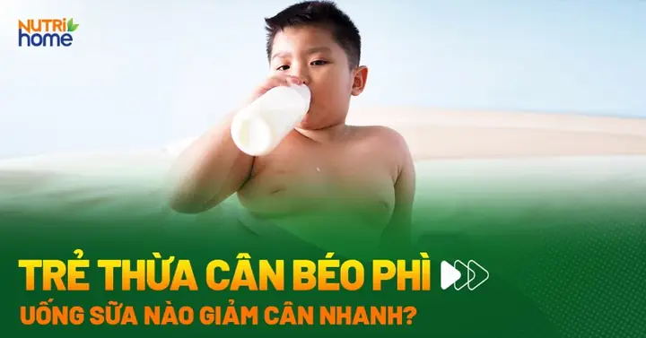 Sữa Cho Trẻ Thừa Cân Béo Phì Sữa Cho Trẻ Thừa Cân Béo Phì