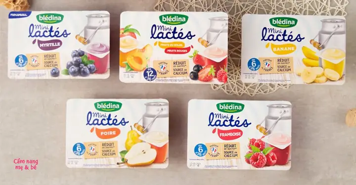 Sữa Chua Bledina Có Tốt Không