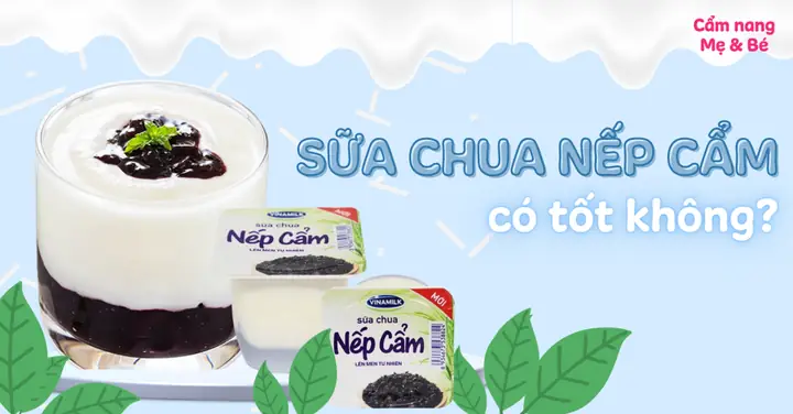Sữa Chua Nếp Cẩm Có Tốt Không