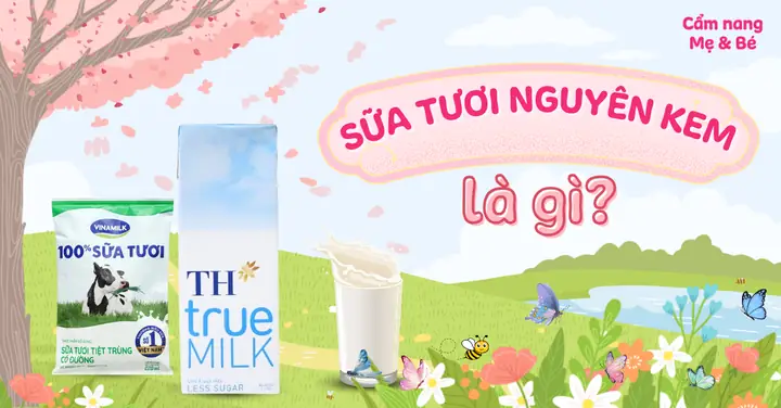 Sữa Chua Nguyên Kem Là Gì
