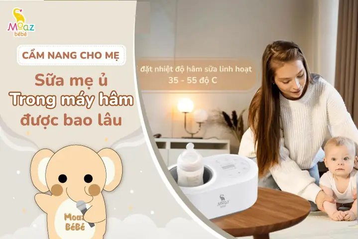 Sữa Mẹ Để Được Bao Lâu Trong Máy Hâm
