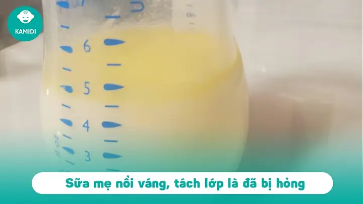 Sữa Mẹ Trữ Đông Bị Hỏng