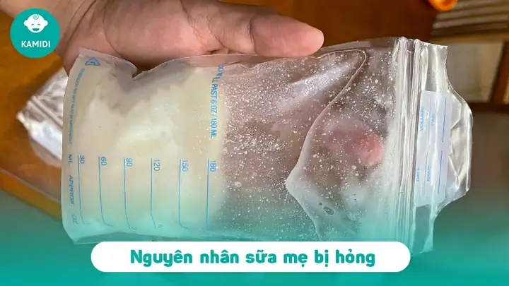 Sữa Mẹ Trữ Đông Bị Hỏng