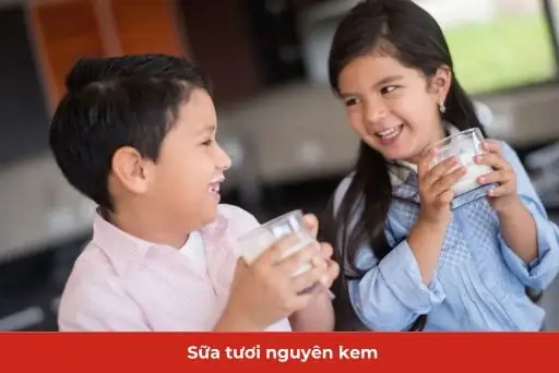 Sữa Nguyên Kem Loại Nào Tốt