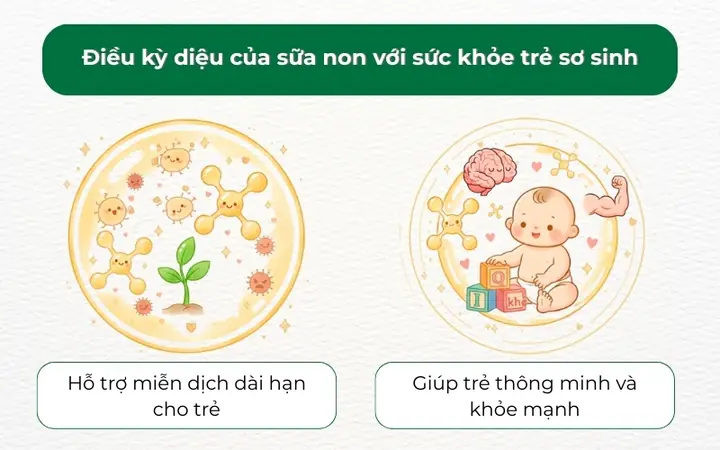 Sữa Non Tăng Sức Đề Kháng Cho Trẻ Sơ Sinh