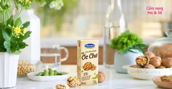 Sữa Óc Chó Dành Cho Trẻ Mấy Tuổi Sữa Óc Chó Dành Cho Trẻ Mấy Tuổi