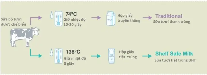 Sữa Tiệt Trùng Và Sữa Thanh Trùng