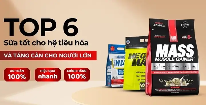 Sữa Tốt Cho Hệ Tiêu Hóa Người Lớn