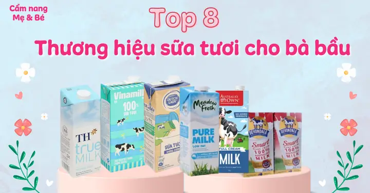 Sữa Tươi Không Đường Nào Tốt Cho Bà Bầu Sữa Tươi Không Đường Nào Tốt Cho Bà Bầu