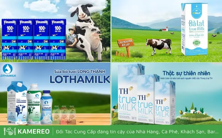 Sữa Tươi Tốt Nhất Hiện Nay Sữa Tươi Tốt Nhất Hiện Nay