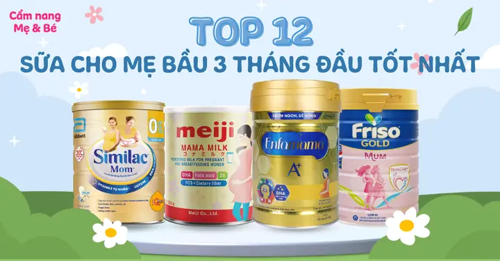 Sữa Uống Cho Bà Bầu 3 Tháng Đầu Sữa Uống Cho Bà Bầu 3 Tháng Đầu