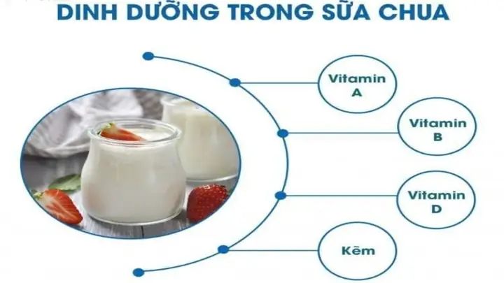 Tác Dụng Của Ăn Sữa Chua Không Đường
