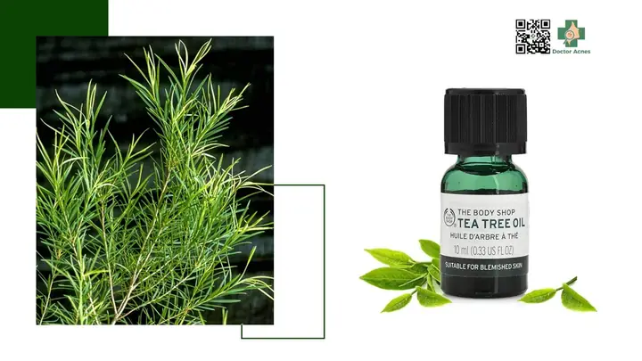 Tác Dụng Của Dầu Tràm Trị Mụn