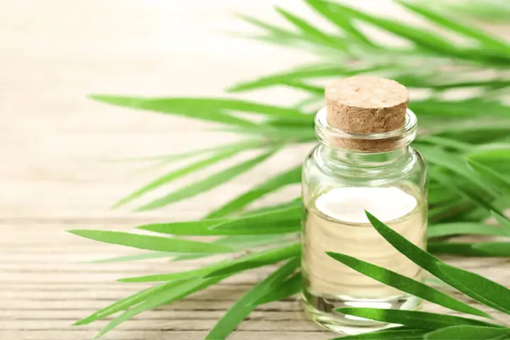 Tác Dụng Của Dầu Tràm Trị Mụn