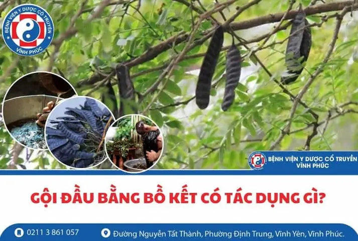 Tác Dụng Của Gội Đầu Bằng Bồ Kết