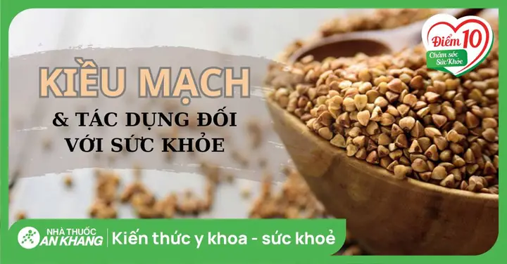 Tác Dụng Của Hạt Kiều Mạch