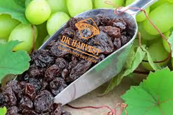 Tác Dụng Của Nho Với Bà Bầu Tác Dụng Của Nho Với Bà Bầu