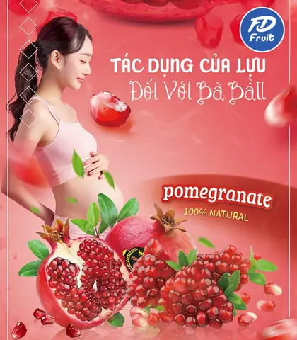 Tac Dung Cua Qua Luu Doi Voi Ba Bau Tac Dung Cua Qua Luu Doi Voi Ba Bau