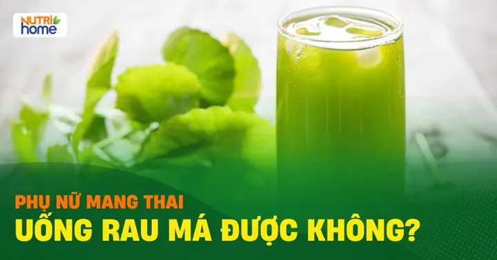 Tác Dụng Của Rau Má Với Bà Bầu