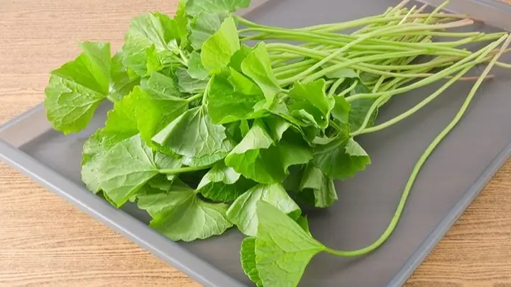 Tác Dụng Của Rau Má Với Bà Bầu