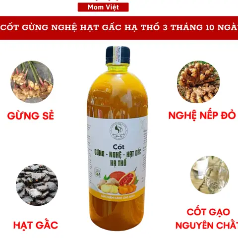 Tác Dụng Của Rượu Gừng Nghệ Hạt Gấc