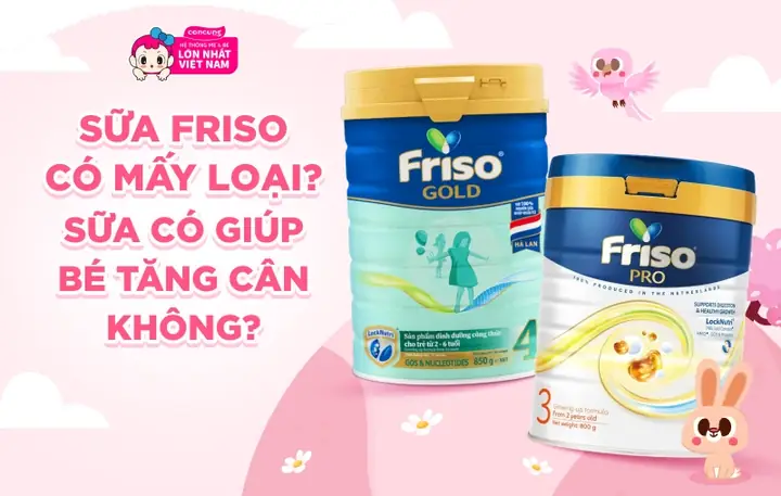 Tai Sao Sua Friso Co Nhieu Bot