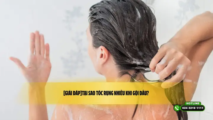 Tại Sao Tóc Rụng Nhiều Khi Gội Đầu
