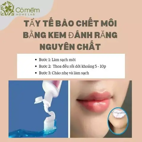 Tẩy Môi Bằng Kem Đánh Răng Tẩy Môi Bằng Kem Đánh Răng