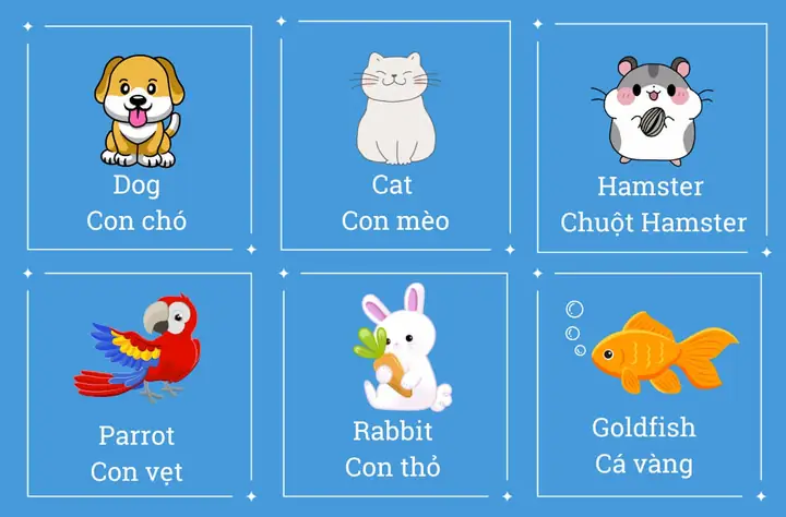 Tên Tiếng Anh 3 Chữ Cho Nam