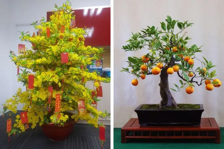 Tết Đến Nhà Bạn Gái Nên Mua Gì