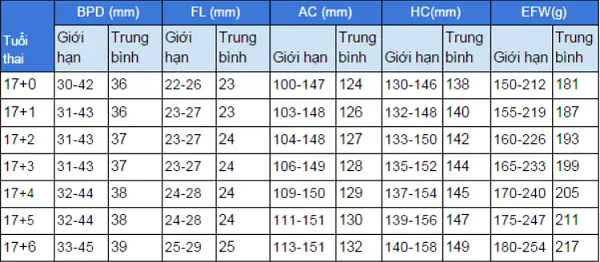 Thai 17 Tuần Nên Ăn Gì