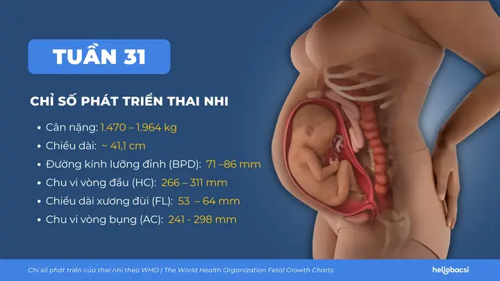 Thai 31 Tuan 5 Ngay Nang Bao Nhieu