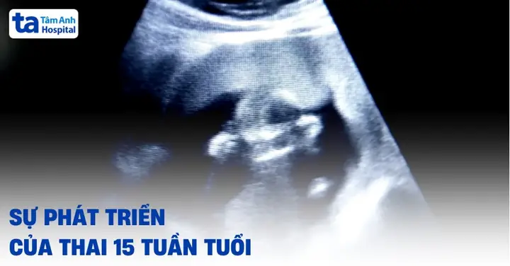 Thai Nhi 15 Tuan Can Bo Sung Gi