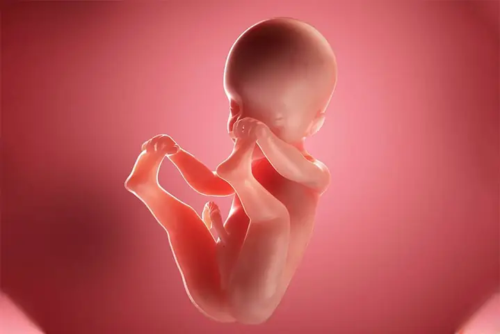 Thai Nhi 15 Tuần Tuổi Đã Máy Chưa