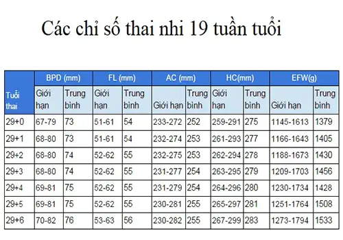 Thai Nhi 29 Tuan Nang Bao Nhieu