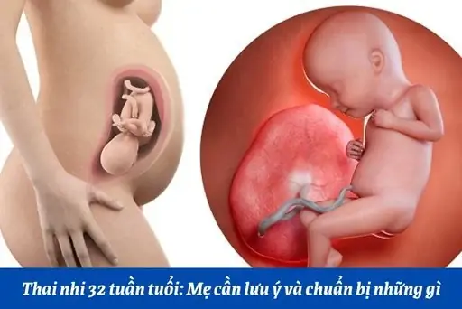 Thai Nhi 3 Tuần Tuổi Mẹ Nên Ăn Gì