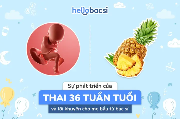 Thai Nhi 36 Tuần Chỉ Số