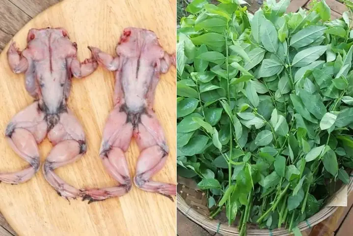 Thịt Ếch Nấu Với Rau Gì Cho Bé